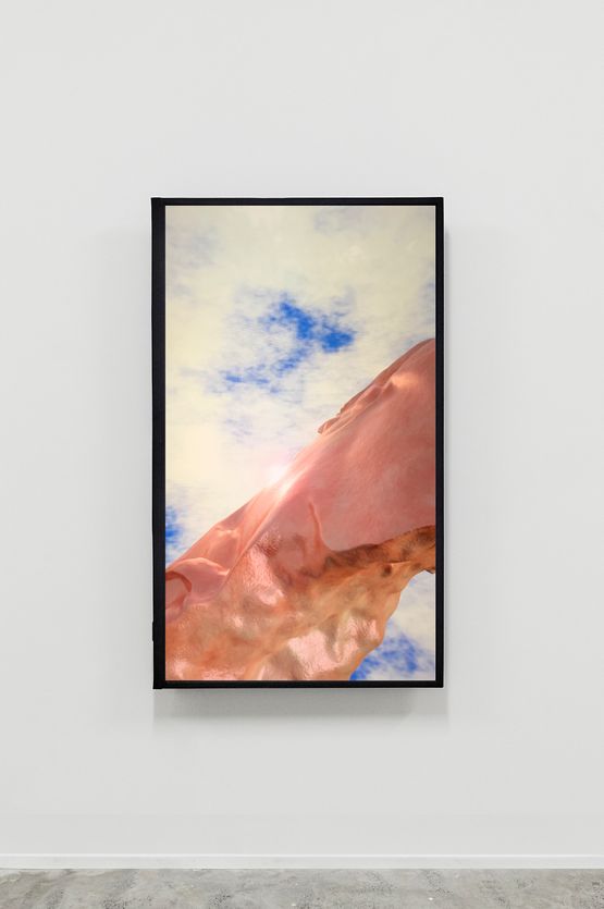 Sculpture 8 fly-through by Andre Hemer contemporary artwork Moving Image