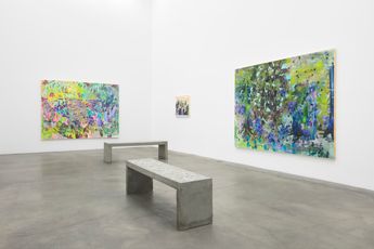 Contemporary art exhibition Sarah Ann Weber Strong Blossoming Thing Forever at Anat Ebgi Culver City United States