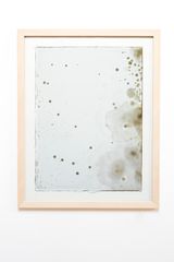 LA Bloom Alternate 1 by Joyce Campbell contemporary artwork photography