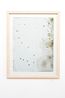 LA Bloom Alternate 1 by Joyce Campbell contemporary artwork Photography
