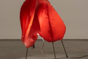 Anicka Yi