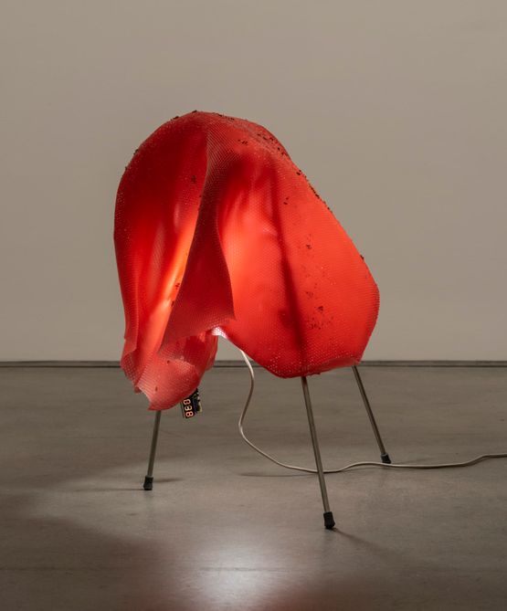 One Bright Pearl by Anicka Yi contemporary artwork Sculpture