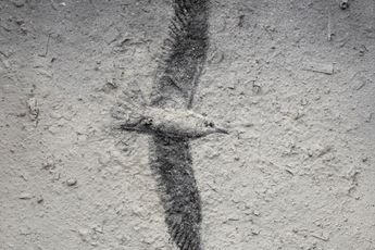 Zhang Huan contemporary artist