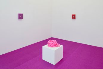 Contemporary art exhibition Vanessa Safavi I feed my dreams slime at night at Fabienne Levy Lausanne Switzerland