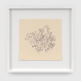 Petunias P.032 by Ruth Asawa contemporary artwork print works on paper