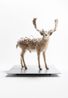 PixCell-Fallow Deer2 by Kohei Nawa contemporary artwork Sculpture