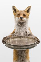 The Fox the Nut and the Bankers Hand by Babak Golkar contemporary artwork sculpture
