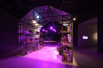 Contemporary art exhibition Wu Chi-Yu Chen Pu Blurring Realities Greenhouse and Beyond at TKG TKG Taipei Taiwan