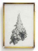 Rebellious Tree by Koo Hyunmo contemporary artwork works on paper