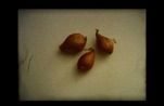Mdardara by Ziad Antar contemporary artwork Moving Image