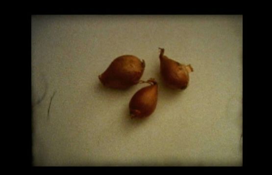 Mdardara by Ziad Antar contemporary artwork Moving Image