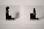 William Wegman contemporary artist
