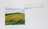 Horton Plains by Muhanned Cader contemporary artwork painting