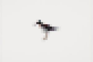 Marcus Coates