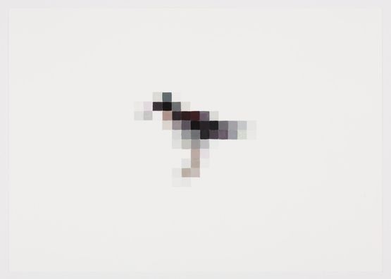 Common Sandpiper by Marcus Coates contemporary artwork Painting