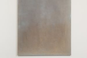 Leonardo Anker Vandal