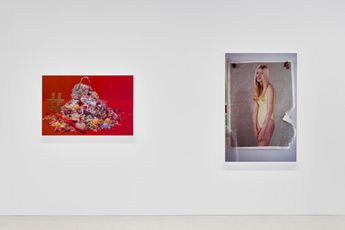 Contemporary art exhibition Roe Ethridge Happy Birthday Louise Parker II at Gagosian Davies Street London United Kingdom