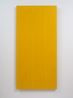 Digit Painting - mid green over yellow by Noel Ivanoff contemporary artwork Painting