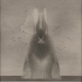 In the Name of Rabbit 121 by Shao Fan contemporary artwork drawing painting works on paper