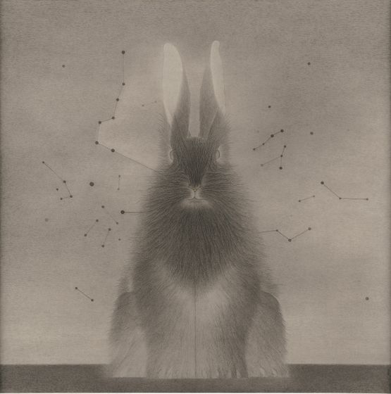 In the Name of Rabbit 121 by Shao Fan contemporary artwork Painting