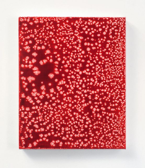 Forbidden Colours by Adel Abdessemed contemporary artwork Mixed Media