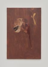 woodpecker  cranium  bulb by Ryu Takeda contemporary artwork painting