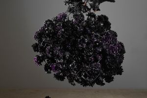 Petah Coyne