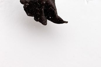 Julia Baier contemporary artist