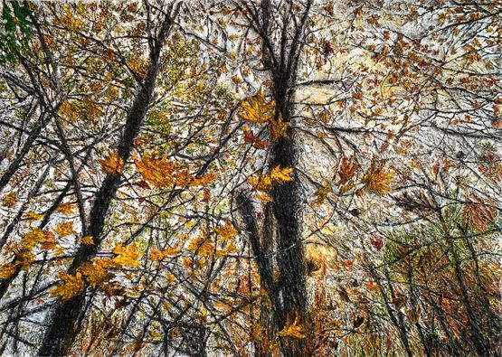 Les Arbres Sont des Poemes I by Tamara Haddad contemporary artwork Painting