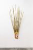 You Took Your Time With Me by Andrius Alvarez-backus contemporary artwork Sculpture