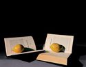 Allegory of Reading by Olivier Richon contemporary artwork Photography