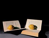 Allegory of Reading by Olivier Richon contemporary artwork photography
