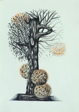 Auffallige Bedeckt- und Nacktsamer by Hartmut Neumann contemporary artwork drawing works on paper
