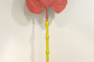 Caroline Rothwell