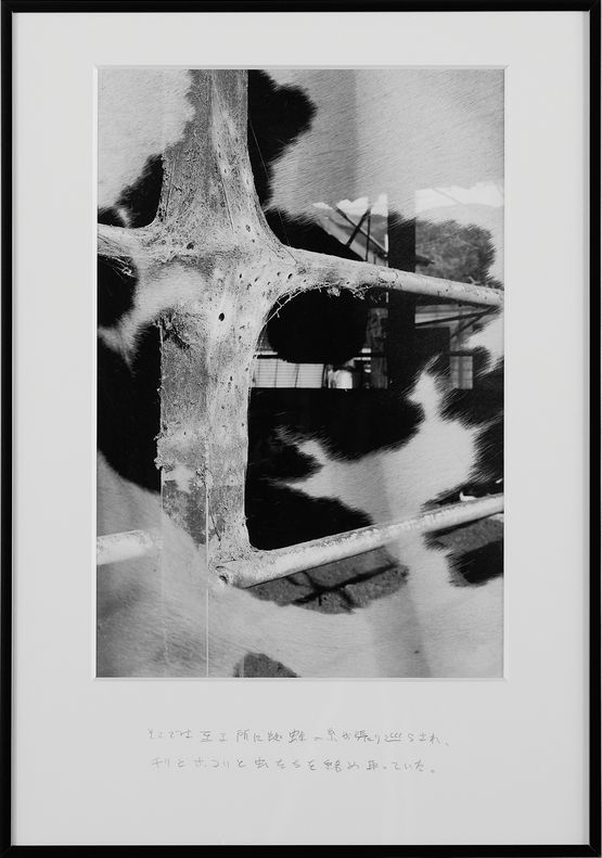 Spiderwebs Stretched Everywhere Trapping Dust Debris and Insects by Kohei Kyomori contemporary artwork Works on Paper