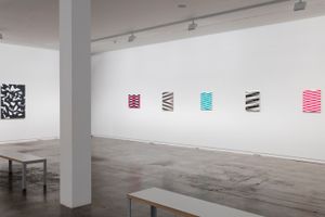 Selina Foote Jeena Shin  Jan van der Ploeg