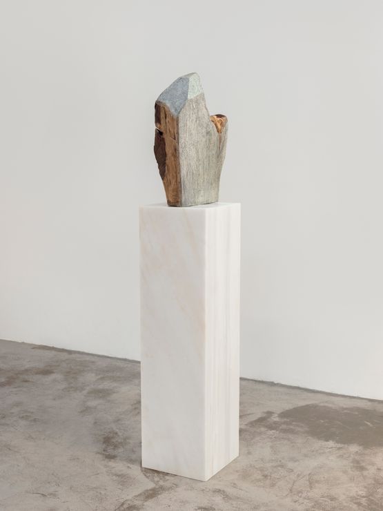 Grass Thorn III by Hu Xiaoyuan contemporary artwork Sculpture