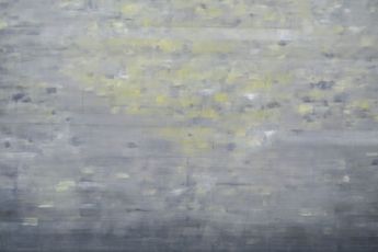 Miwa Ogasawara contemporary artist