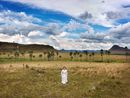 Places of Power The Garden of Maitreya by Marina Abramovic contemporary artwork Photography