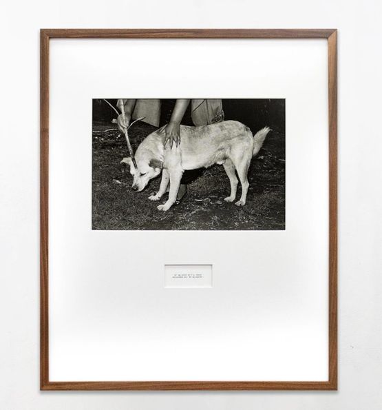 To prevent a dog from catching rabies by Maruch Santiz Gomez contemporary artwork Print