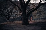 Lacy by Philip-Lorca Dicorcia contemporary artwork photography