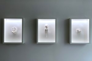 Daniel Arsham