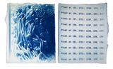N0A9417 by Siwoo Lee contemporary artwork print