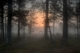 11798- 3868 by Todd Hido contemporary artwork photography