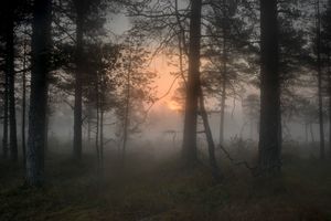 Todd Hido