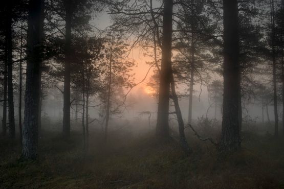 11798- 3868 by Todd Hido contemporary artwork Photography