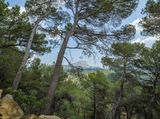 Sainte-Victoire 4805 by Boomoon contemporary artwork photography