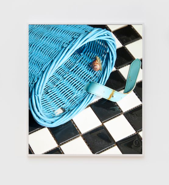 Snail in a Bicycle Basket by Roe Ethridge contemporary artwork Print