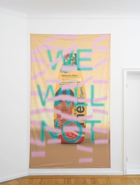 Will Not by Dave Mckenzie contemporary artwork Print