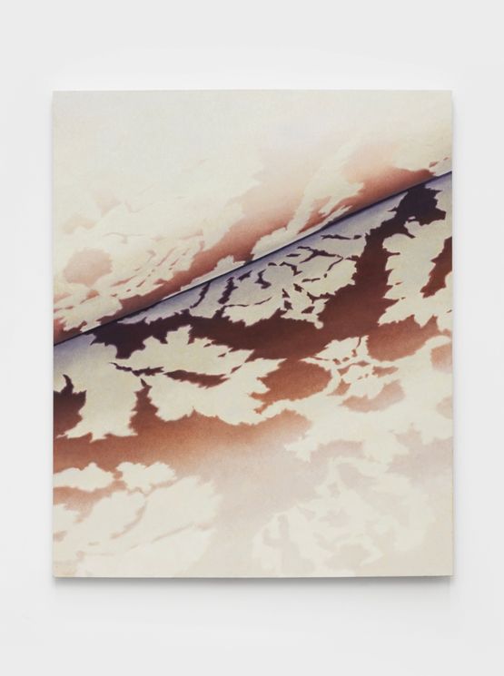 Floral Pattern-CJU by Shi Jiayun contemporary artwork Painting